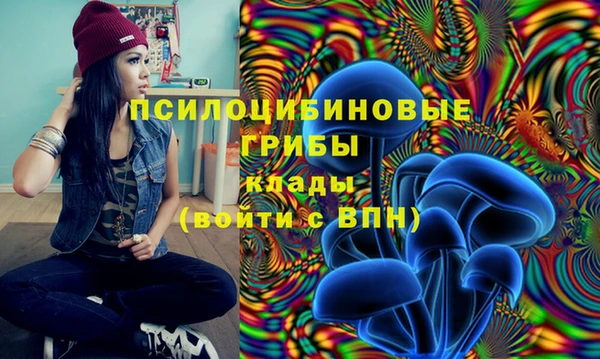 мет Арсеньев