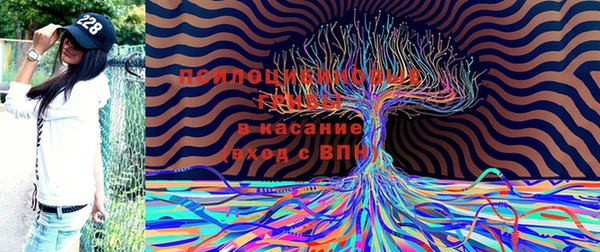 мет Арсеньев